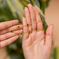 Adele Gold Plated Tanmaniya  for women