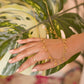 Carrie Gold Plated Tanmaniya  for women